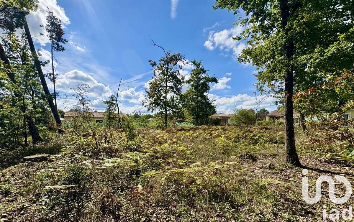 Photo 7 - Terrain à MARSAC-SUR-L&#039;ISLE