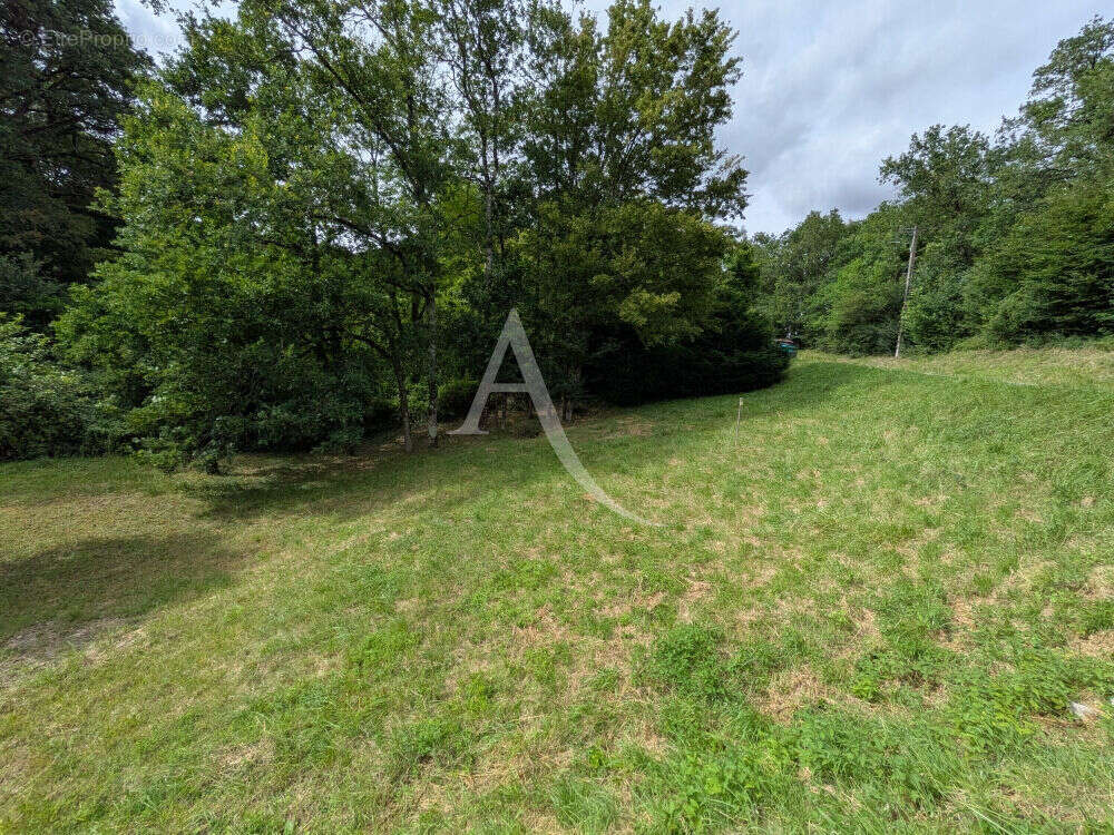 Terrain à ONZAIN