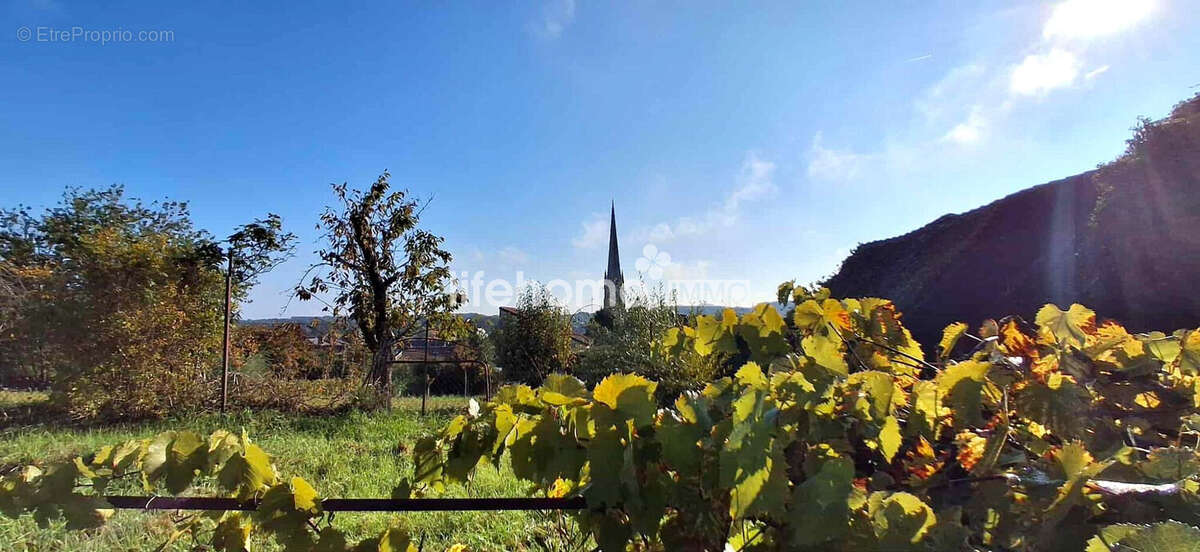 Maison à SAINT-SAVIN