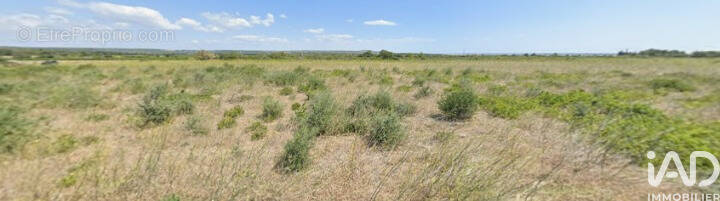 Photo 1 - Terrain à LA PALME