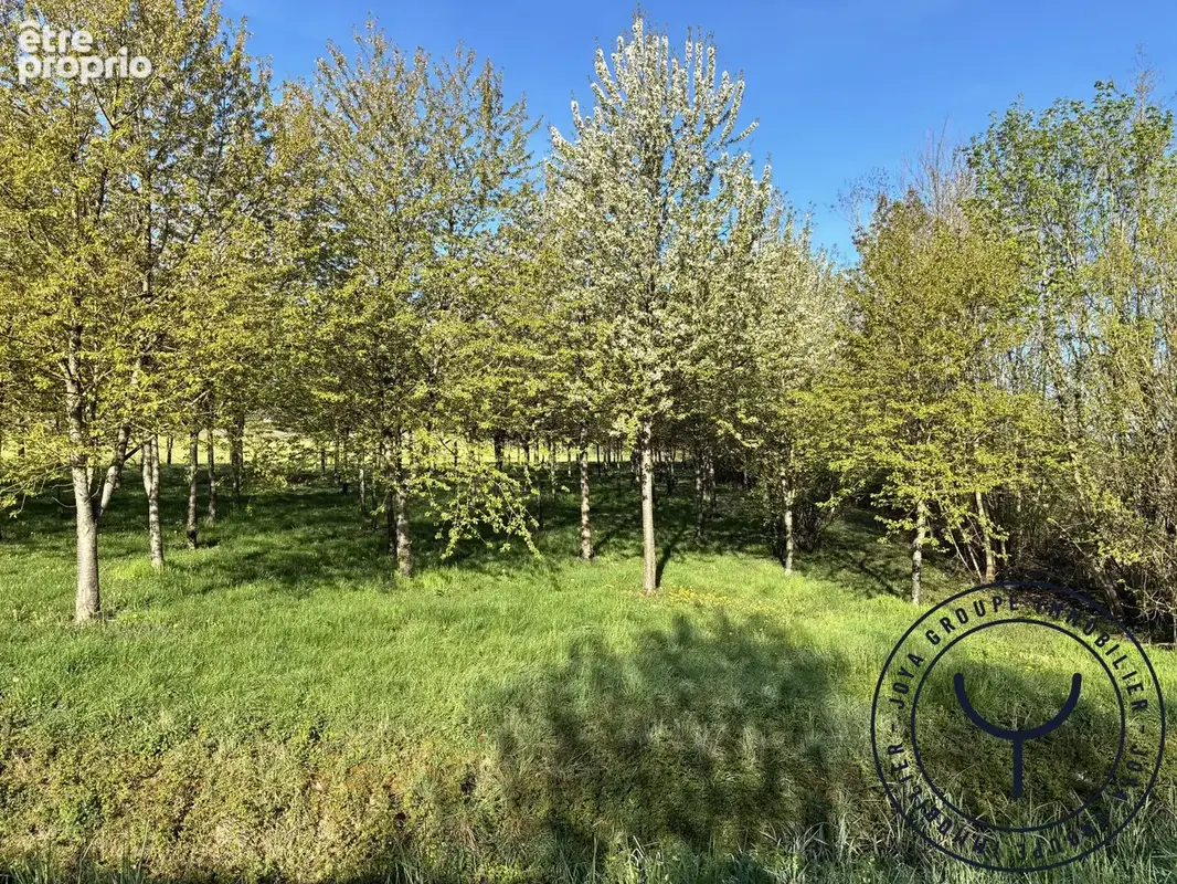 Terrain 29 992 m² à vendre à Mesgrigny (10170) - photo 7