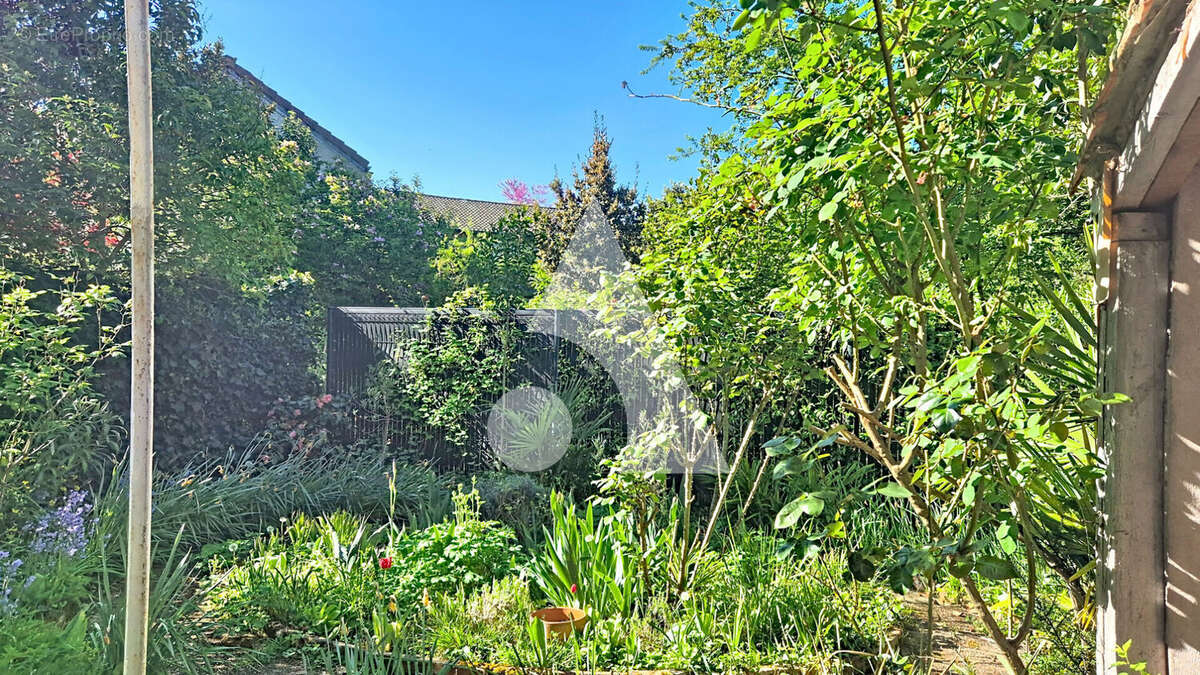 Albi - Maison bourgeoise centre ville - photo 7