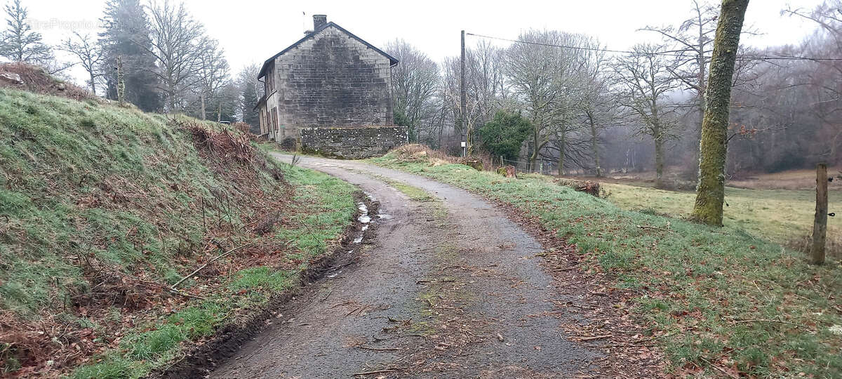 Maison à SAINT-PIERRE-BELLEVUE