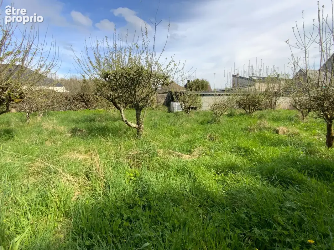 Bâtiment avec terrain - photo 5