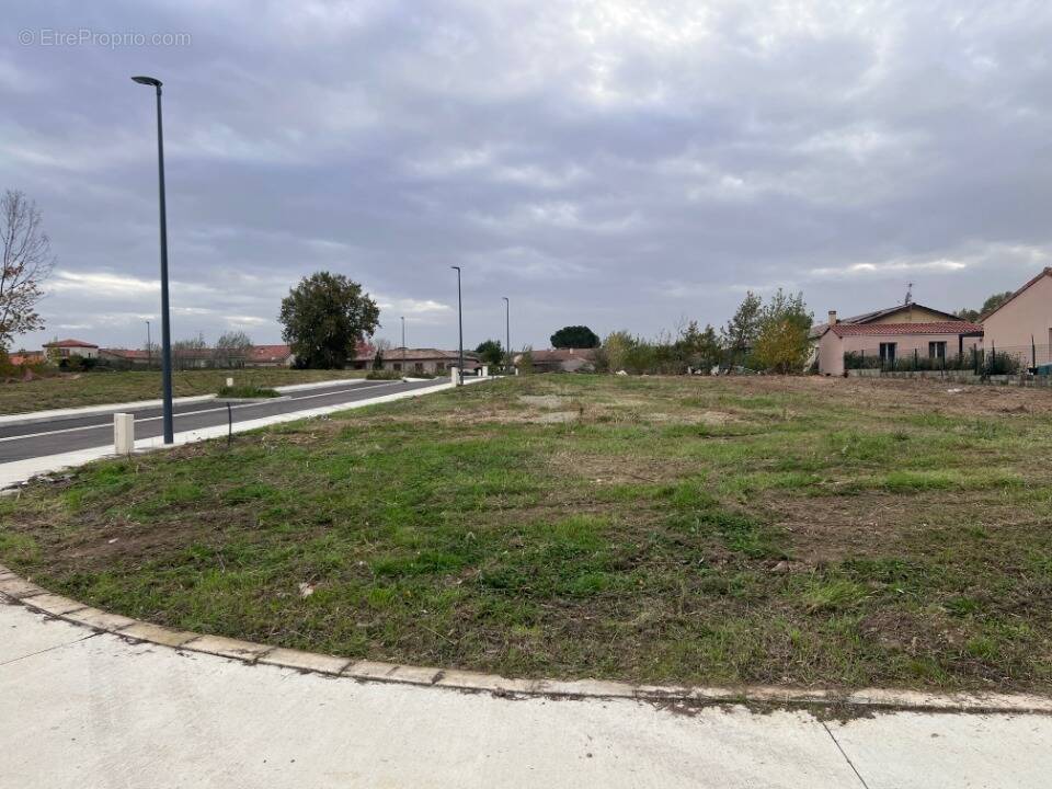 Terrain à MONTBERON