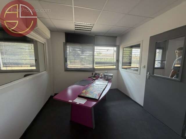 Commerce 351 m² à Saint-Jory  - photo 5