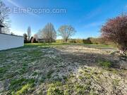 Terrain à SAILLY-LEZ-LANNOY