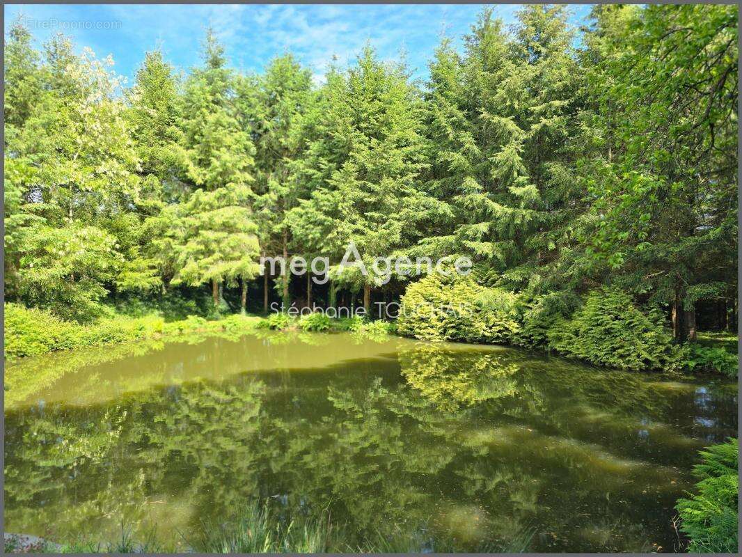 Propriété d’exception au cœur de la nature sur 3 ha – Saint-Mars-sur-la-Futaie - photo 4