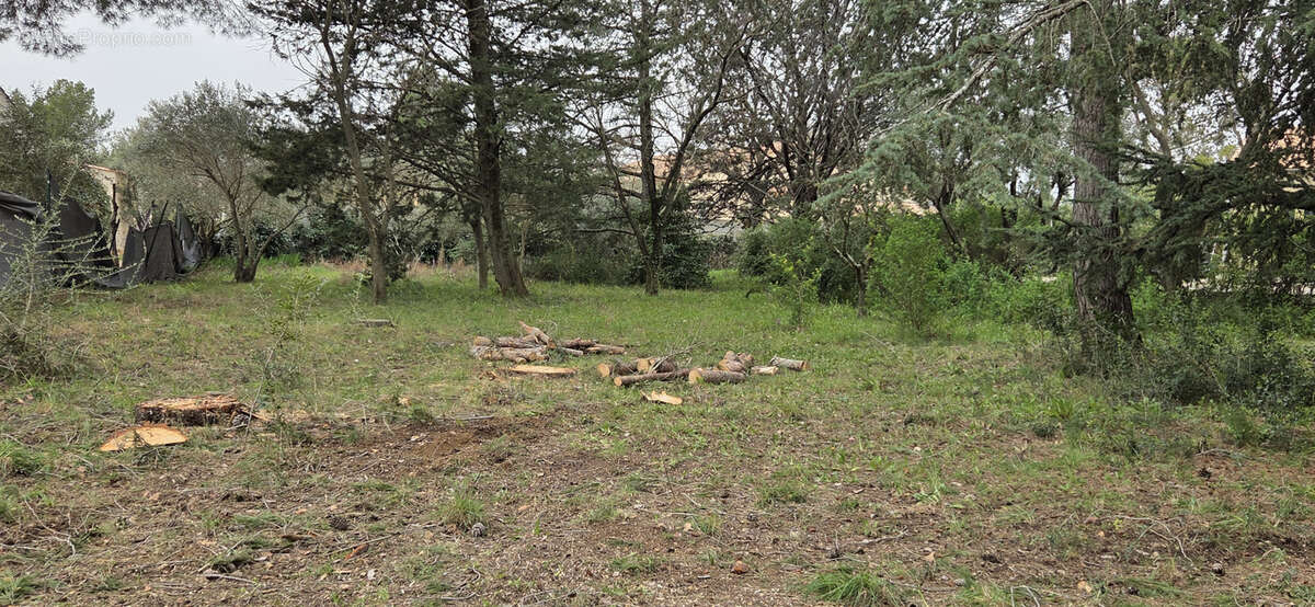 Terrain à SAINT-JEAN-DE-FOS