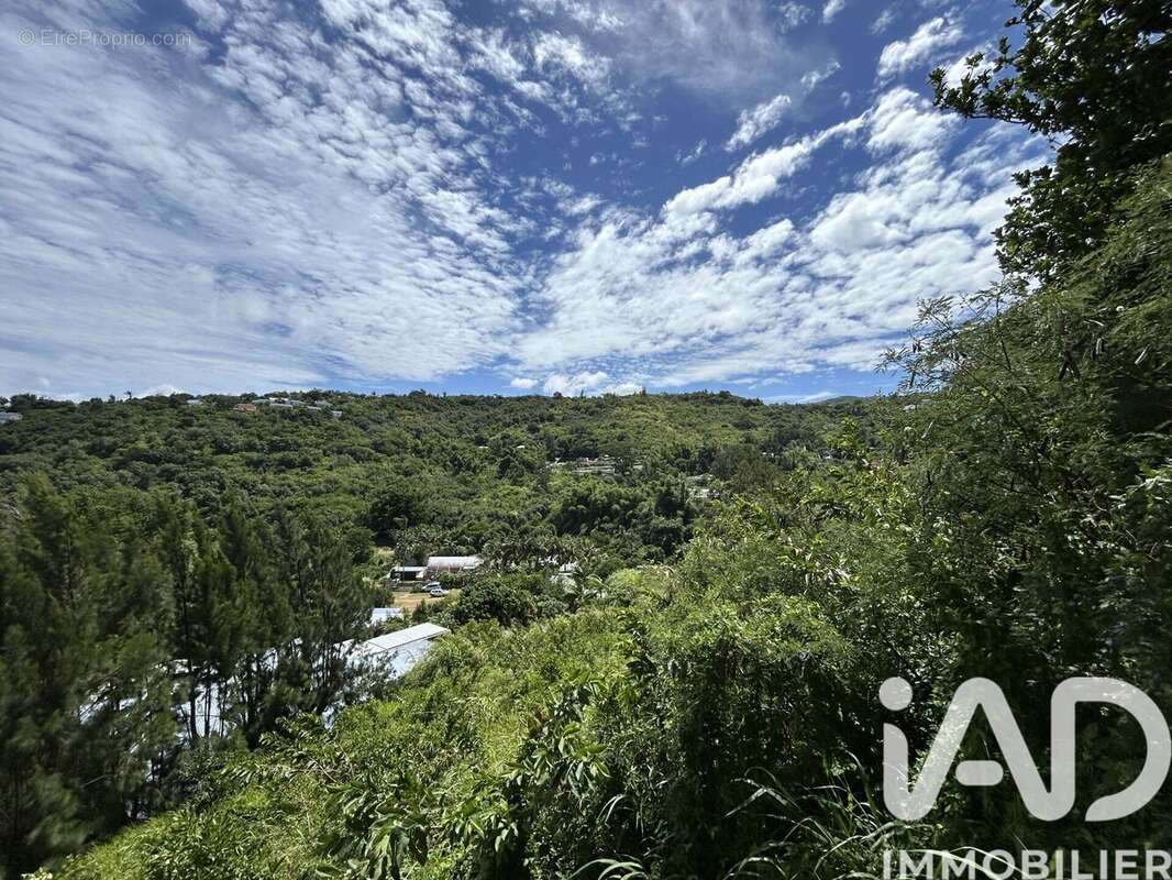Photo 3 - Terrain à SAINT-DENIS