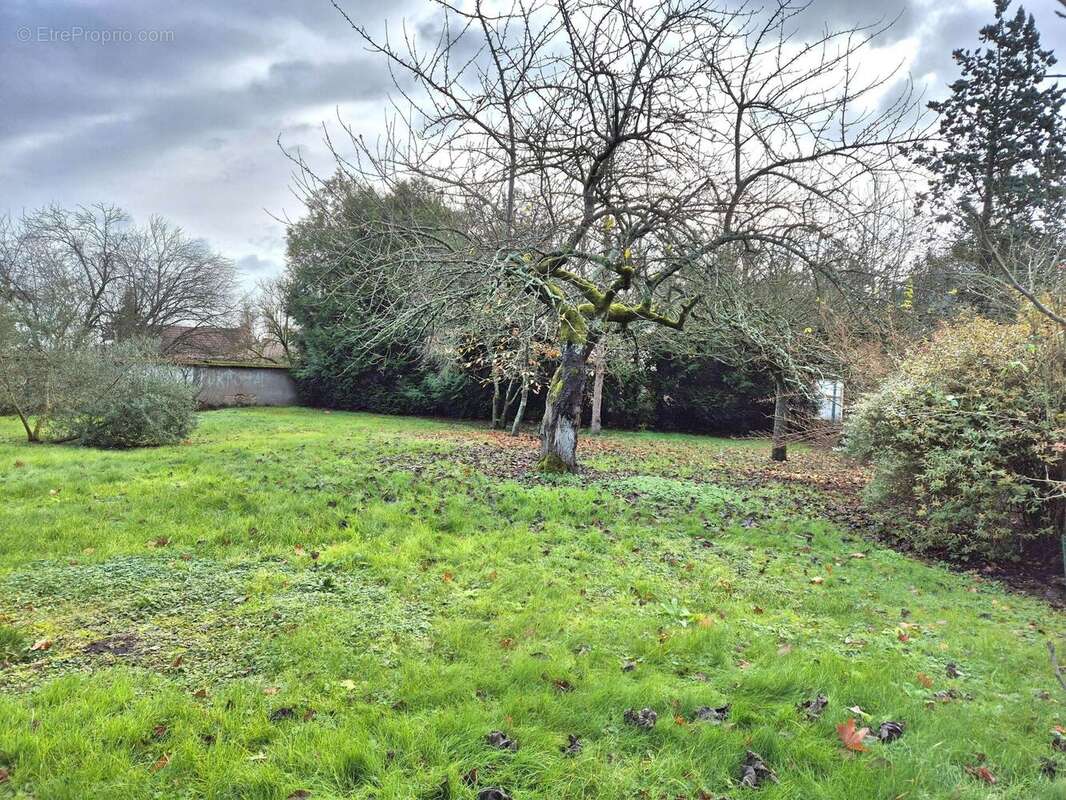 Photo 2 - Terrain à BOISSY-MAUVOISIN