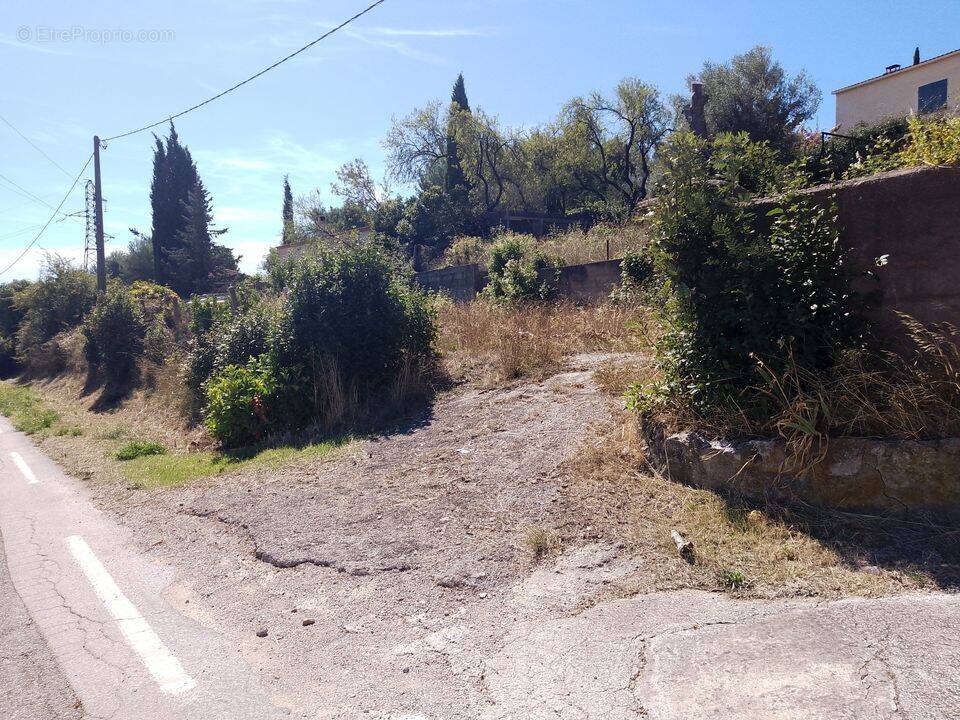 Terrain à SANARY-SUR-MER