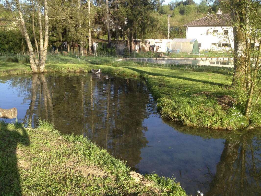 Photo 4 - Terrain à CITERS