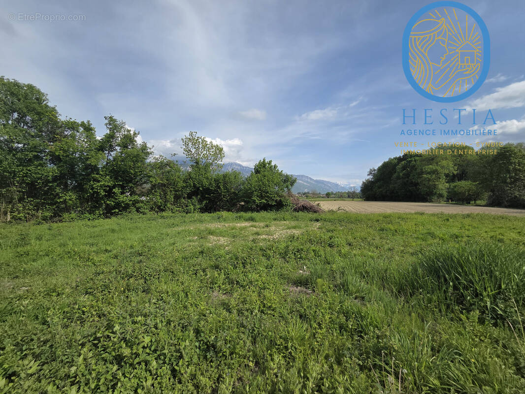 Terrain à SAINT-JEAN-DE-MOIRANS
