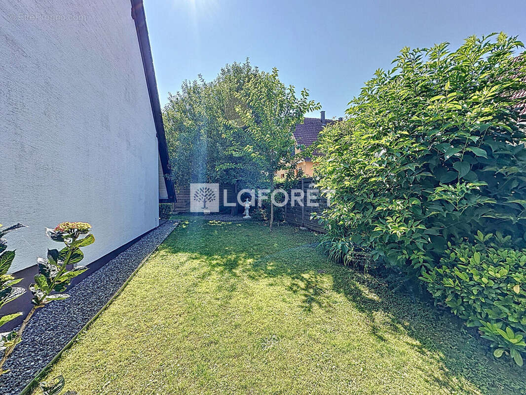 Maison à VENDENHEIM