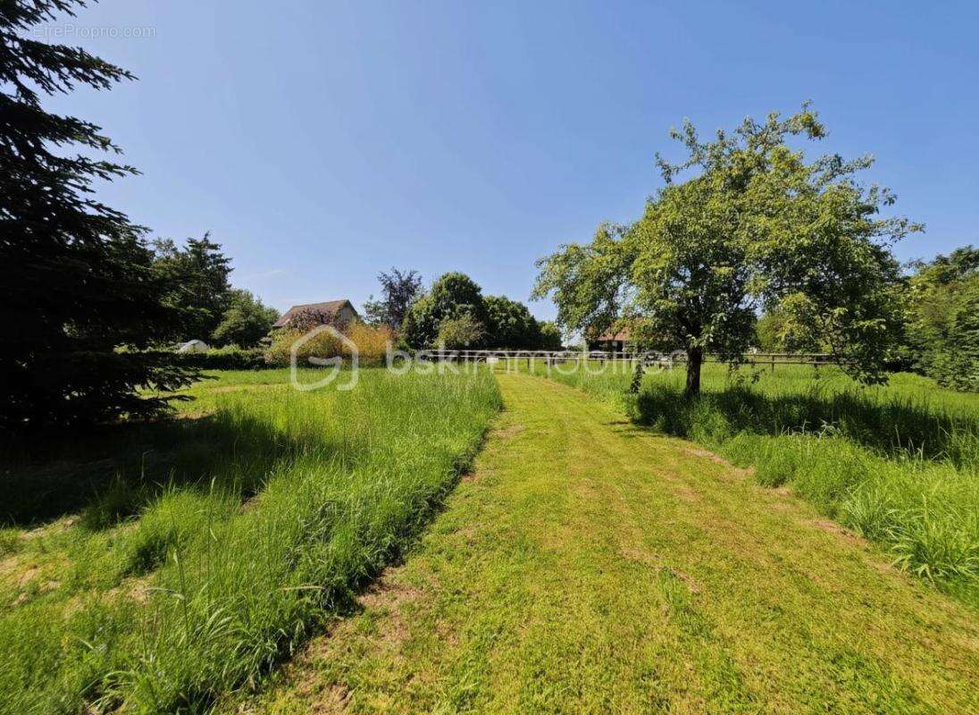 Maison ancienne en pierre de 130 m² avec dépendances sur 2 830 m² de terrain - photo 21