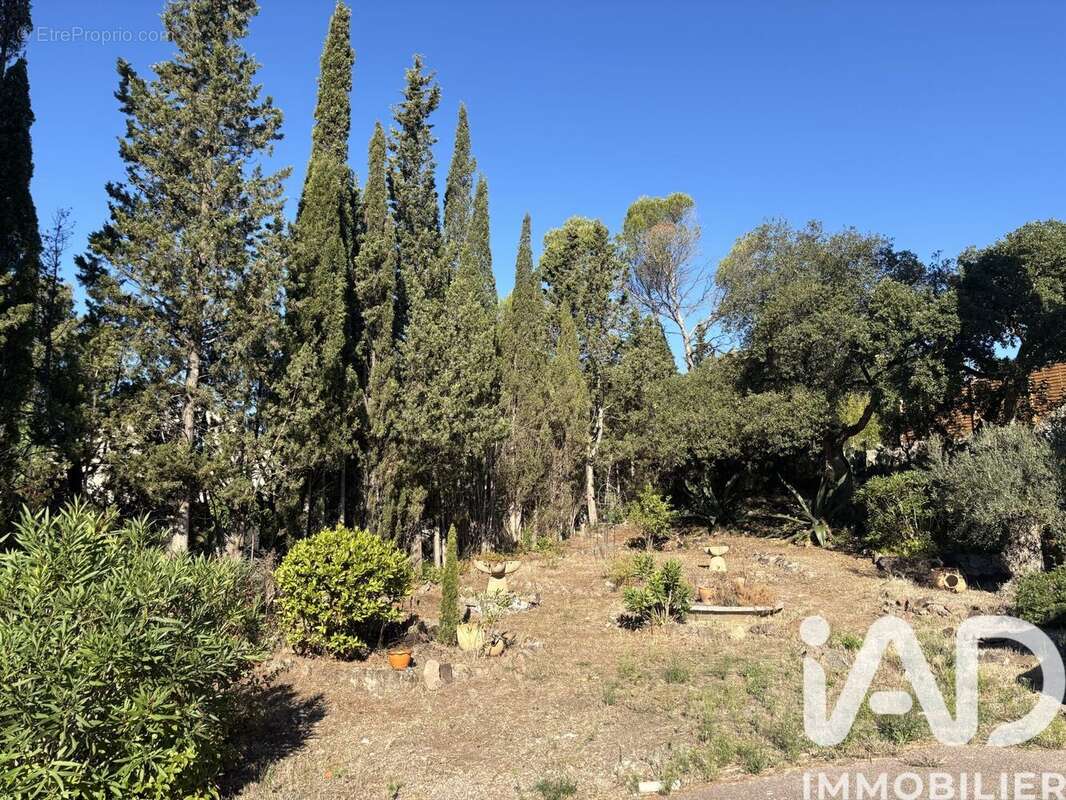 Photo 7 - Maison à SAINT-RAPHAEL