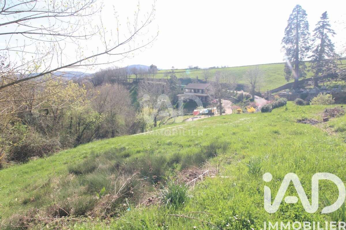 Maison 38 m² à Broquies  - photo 6