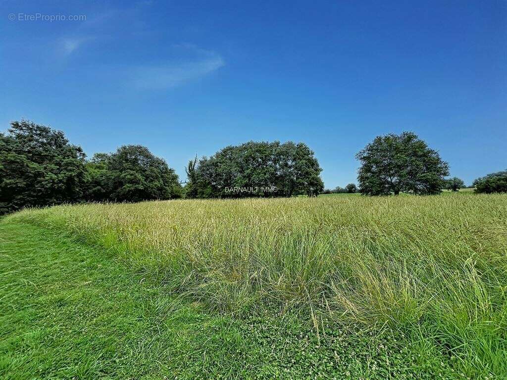 Terrain à BALMA