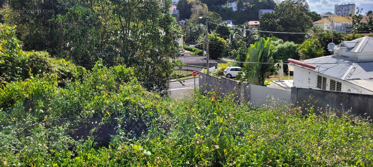 Terrain à LES ABYMES