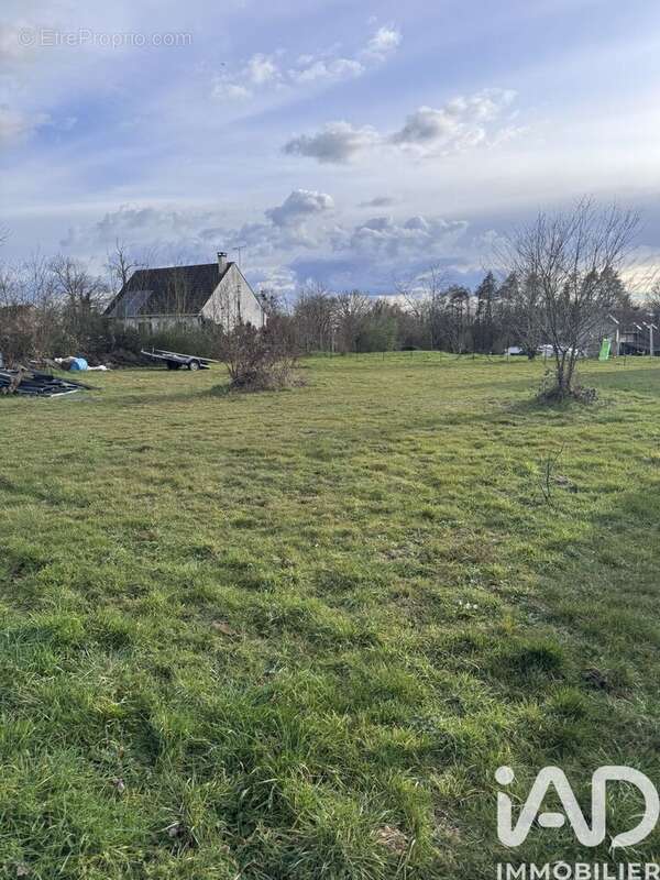 Photo 3 - Terrain à BRAY-EN-VAL