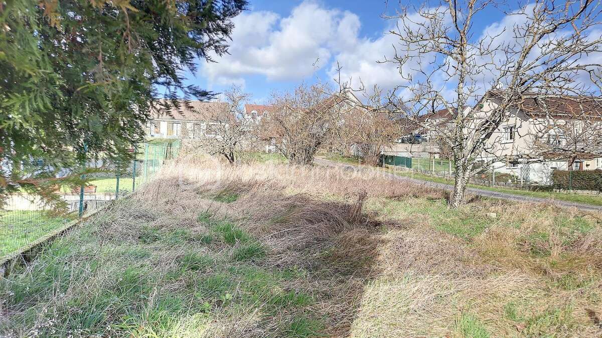 Terrain à VAUX-LE-PENIL