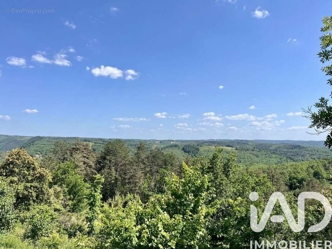 Photo 3 - Maison à SAINT-JULIEN-DE-LAMPON