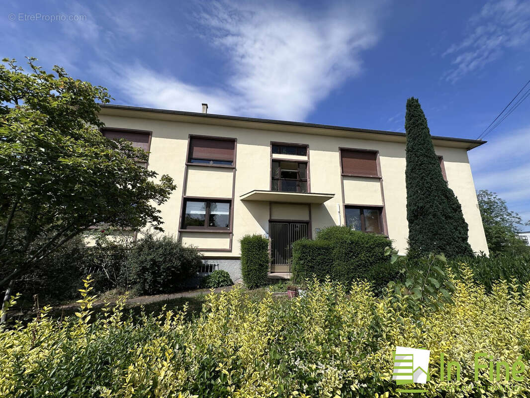 Appartement 19 pièces 490 m² à vendre à Ostwald (67540) - photo 4