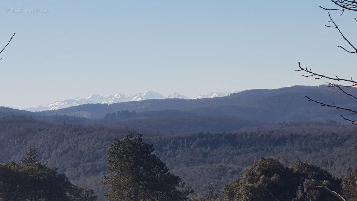 Maison à CLERMONT-SUR-LAUQUET