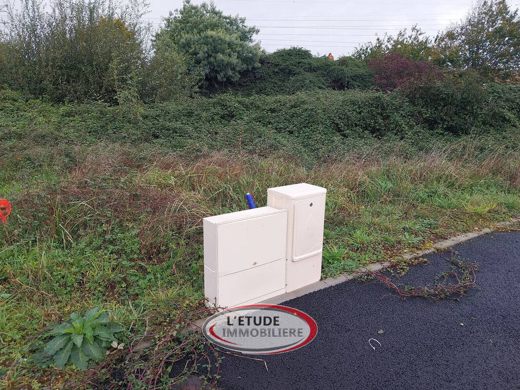 Photo 1 - Terrain à SAINTE-PAZANNE