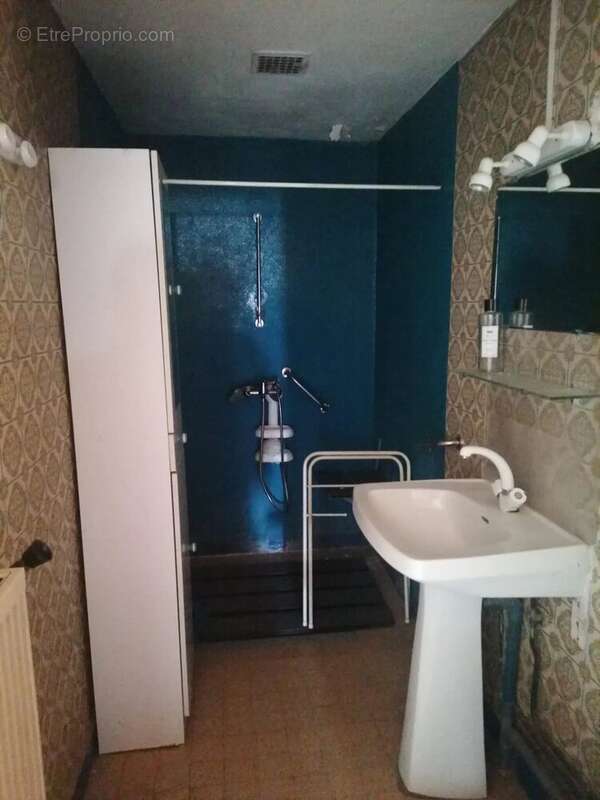 Maison à LISLE-SUR-TARN