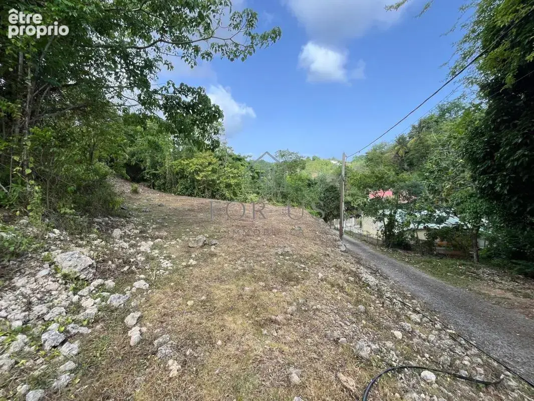 Terrain à LE GOSIER