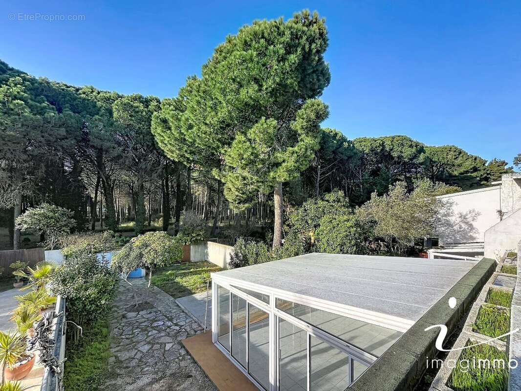 Maison à LA GRANDE-MOTTE