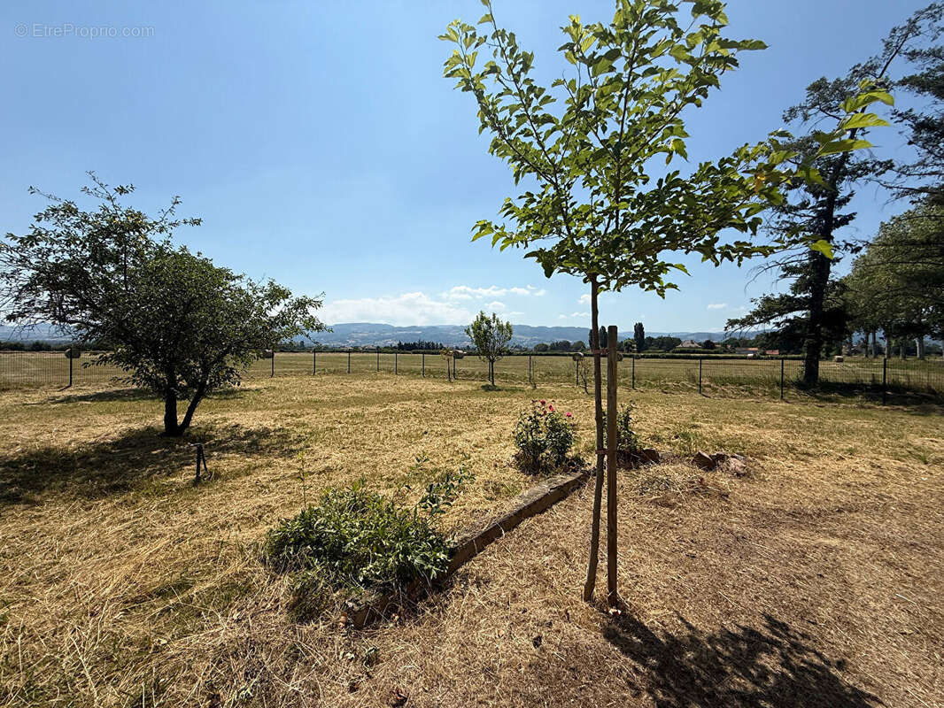 Maison à POUILLY-LES-NONAINS