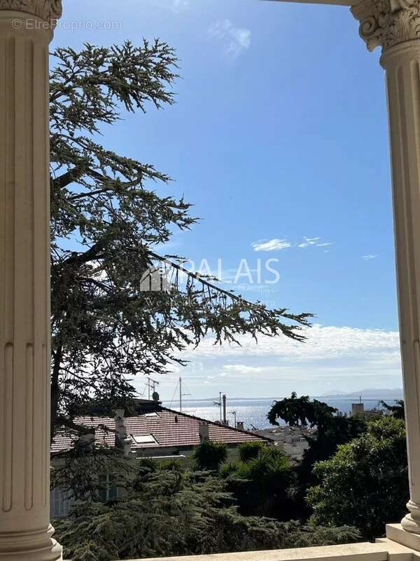 Appartement de prestige-avec jardin-vue mer-proche franck pilatte et mer - photo 14