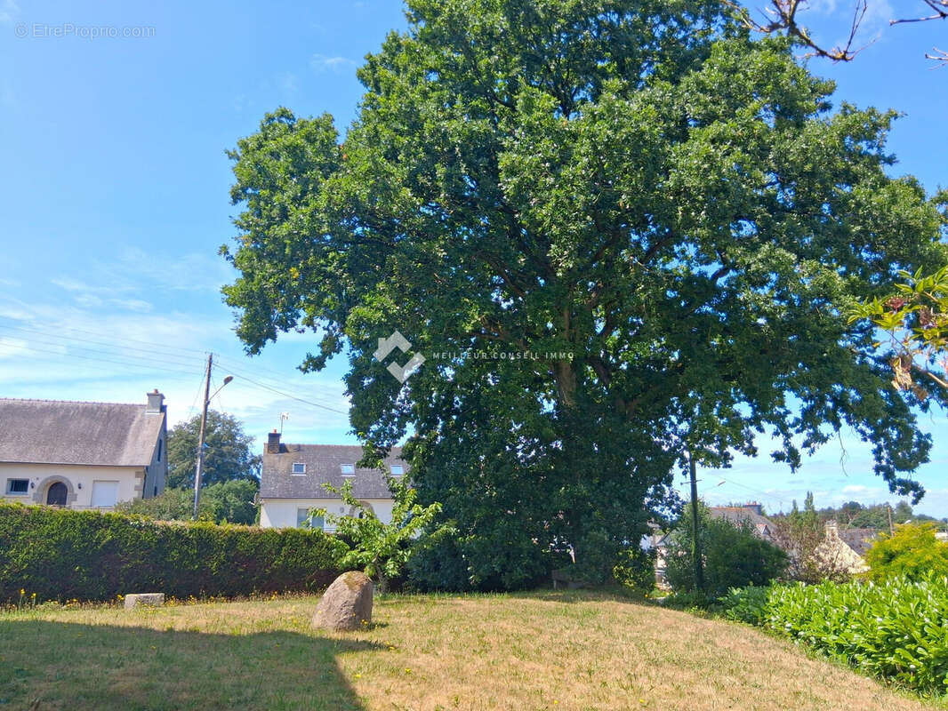Maison 147 m² à Plaintel  - photo 2