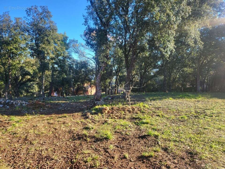 Terrain à LE THORONET