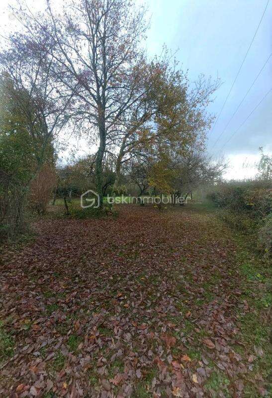 Maison à COURTEMAUX