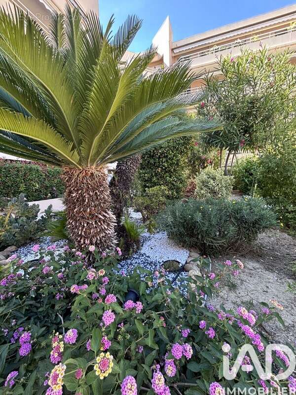 Photo 9 - Appartement à CAGNES-SUR-MER