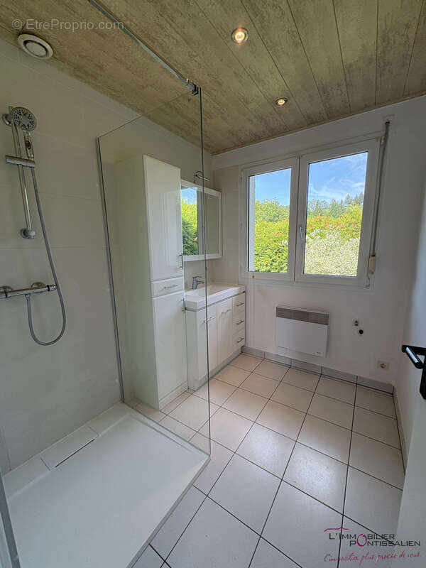Maison à OYE-ET-PALLET