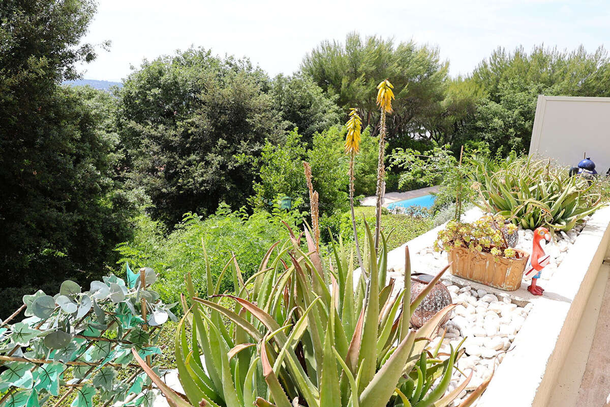 Appartement Le Cannet mairie 2 pièce(s) 54.44 m² avec piscine - photo 5