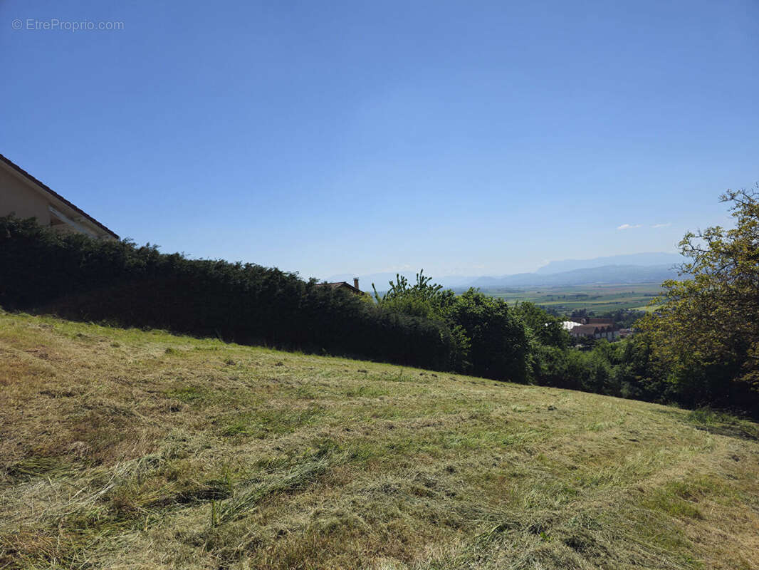 Terrain La Cote Saint Andre 1180 m2 - photo 4