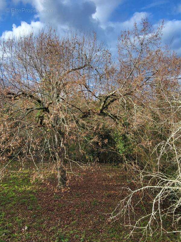 Maison à COULOUNIEIX-CHAMIERS
