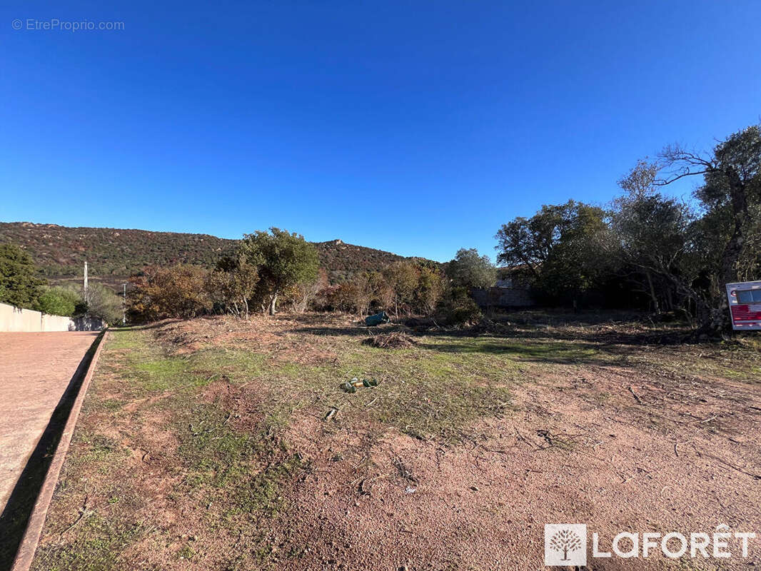 Terrain à PORTO-VECCHIO