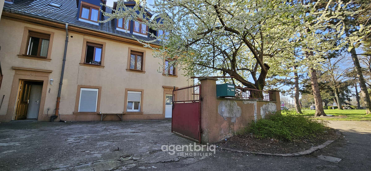 Ensemble immobilier (lot de 5 appartements sur 8) à Mulhouse - photo 3