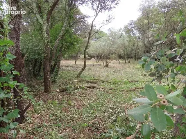 Terrain 2 630 m² à vendre à Uzes (30700) - photo 7