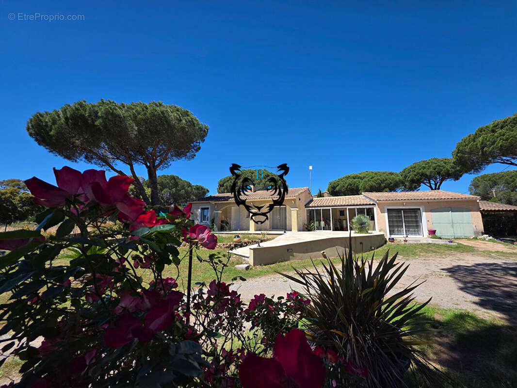 Maison à LE MUY