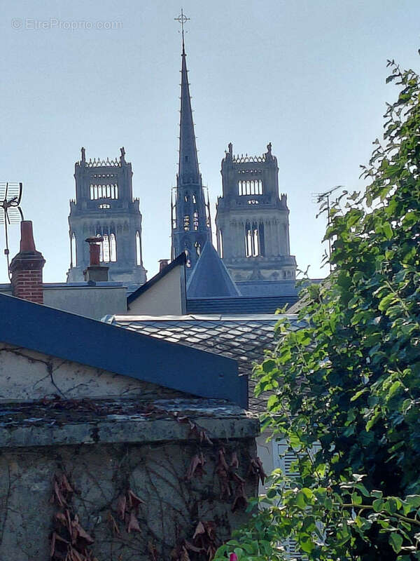 Maison Orleans centre - photo 5