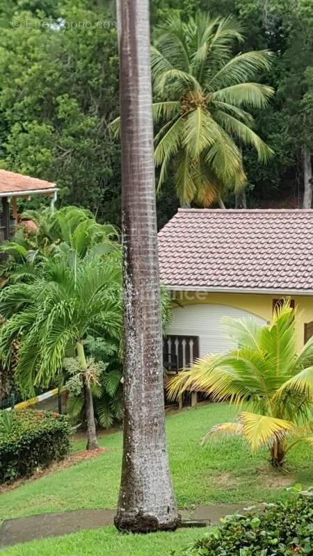 Appartement à SAINTE-ANNE