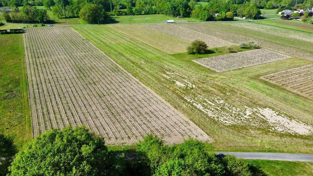 Photo 7 - Terrain à SAVIGNY-EN-VERON